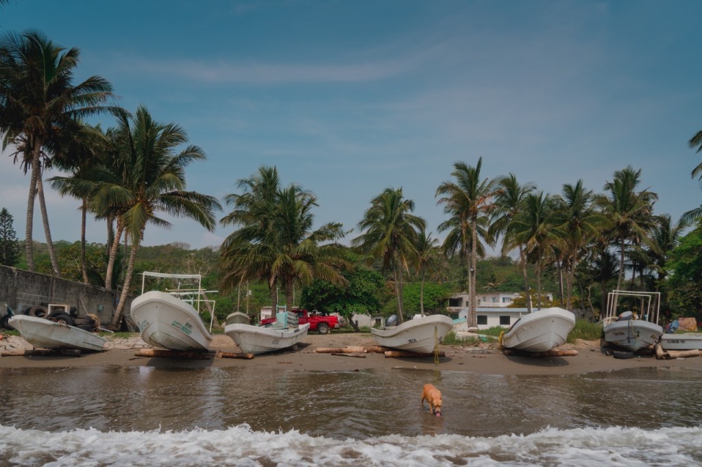 Nuvoil se suma a proyecto de pesca sustentable Namik en Veracruz