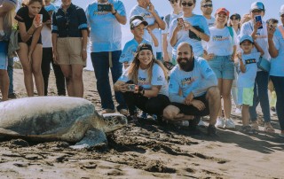 El poder de las asociaciones y el voluntariado corporativo para sanar ecosistemas
